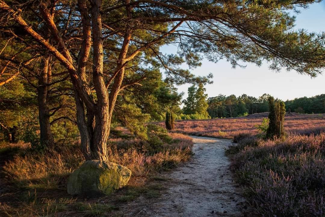 Seeliebe, 300 Meter Zum Wasser, Mit Terrasse Und Garten レンブルッフ エクステリア 写真