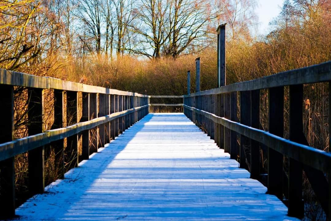 Seeliebe, 300 Meter Zum Wasser, Mit Terrasse Und Garten レンブルッフ エクステリア 写真